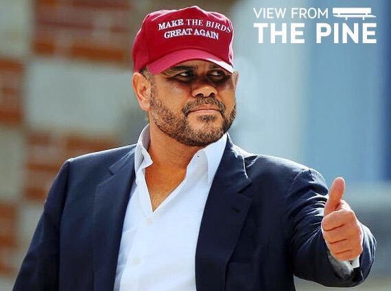 Make the Birds Oquendo Again